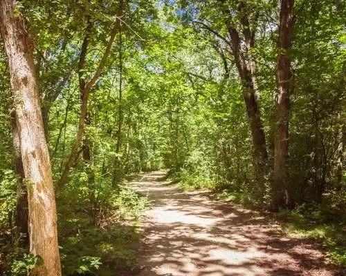 cook-arboretum-jpeg-2