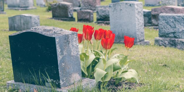Mother Of “Baby John Doe” Found Dead In 1988 Is Finally Found By Police Mother Of “Baby John Doe” Found Dead In 1988 Is Finally Found By Police