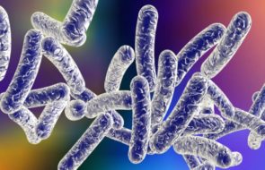 1 dead, 11 sickened in Legionnaires’ disease outbreak in Napa County, California