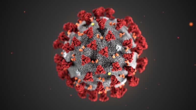 corona-virus-10