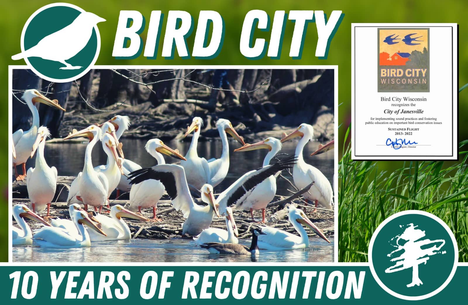 Janesville named Bird City USA WWHG 105.9 The HOG