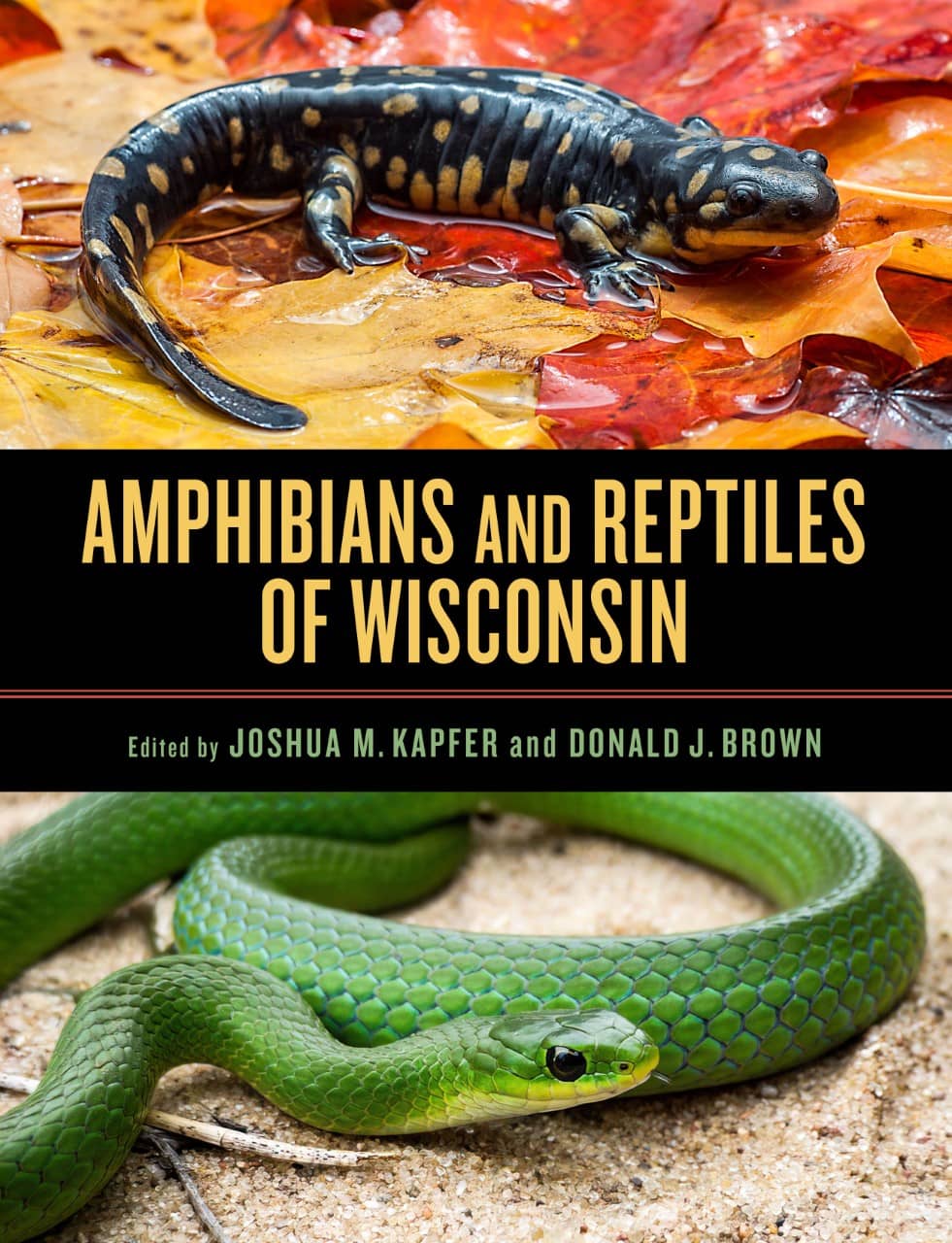amphibians-and-reptiles-of-wisconsin91750