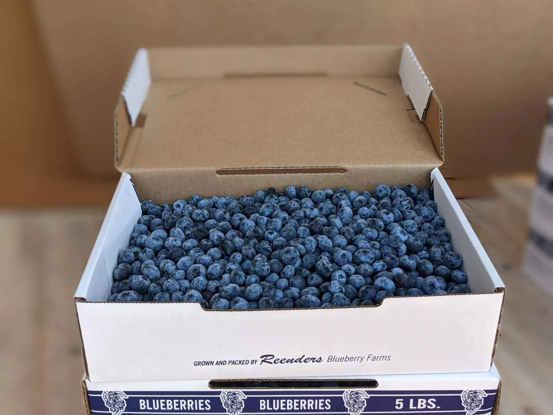 blueberry-sale-fundraiser236748