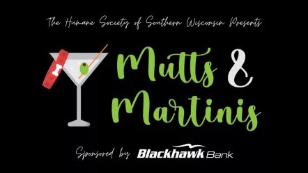 mutts-and-martinis911769