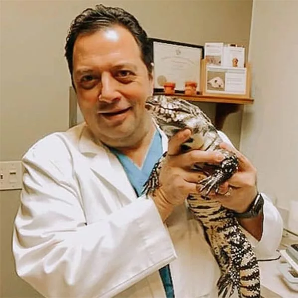 badger-vet-dr-steven-servantez437844