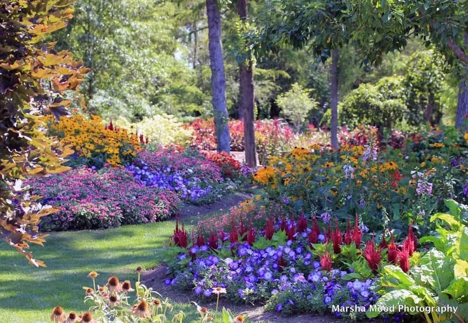 rotary-botanical-gardens422315