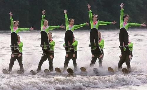 rock-aqua-jays290146