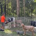 petting-zoo-150x150556668-1