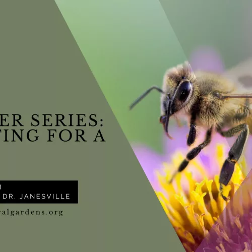 2025-6-11-planting-for-a-buzz-fb-event-headers-2-png