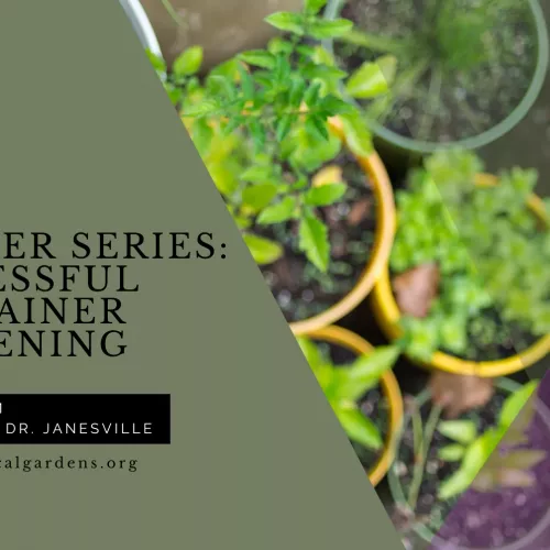2025-5-15-successful-container-gardening-fb-event-headers-png