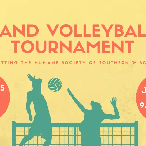 volleyball-event-jpg-2