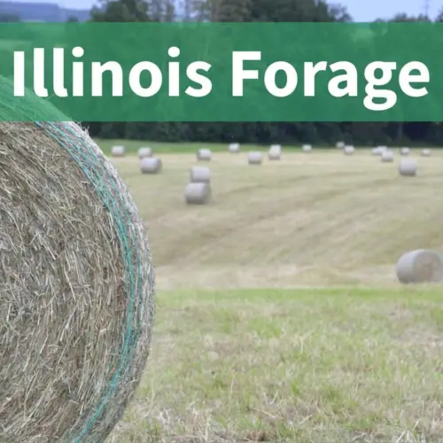 2025-illinois-forage-expo-for-social-media-3-1920-x-1080-px-jpg-3