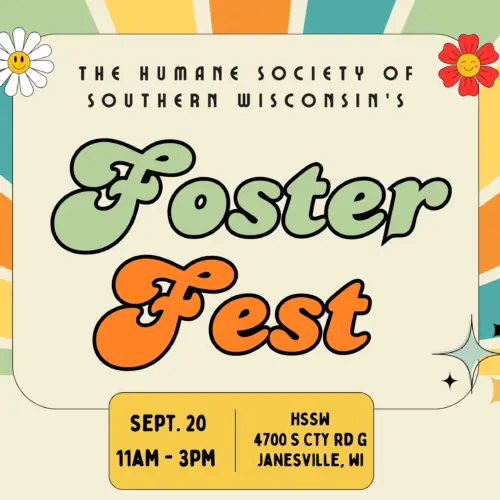 foster-fest-2025-website-jpg
