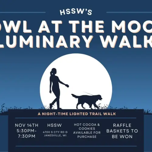 howl-at-the-moon-website-photo-jpg