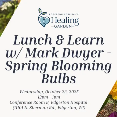 lunch-learn-w-mark-dwyer-fb-event-1-png-2