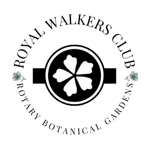 untitled-design-17-png