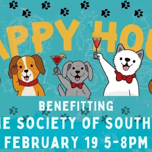 627860440_1531305102175146_3628983704711809546_n-jpg-2