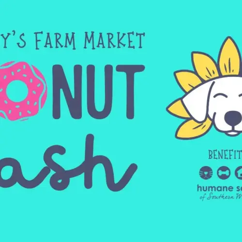 donut-dash-website-website-jpg-2