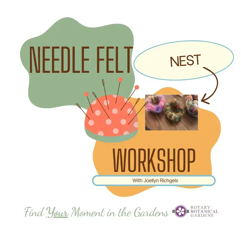Needle Felted Workshop