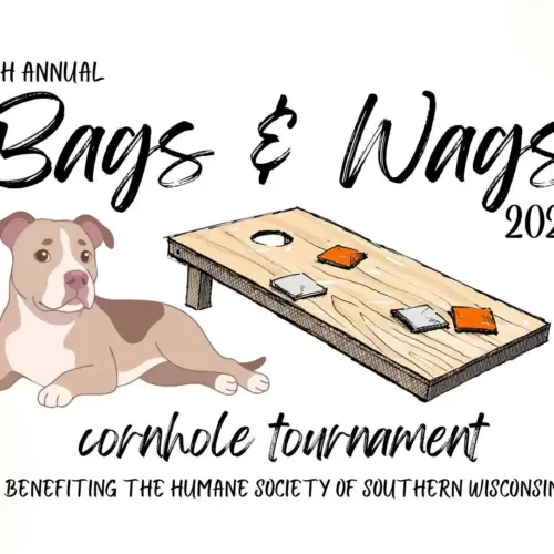 651178472_1343883837767910_8763576860156622064_n-jpg