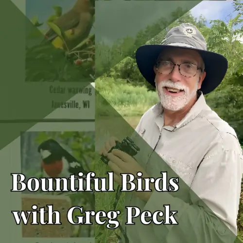 birds1-png
