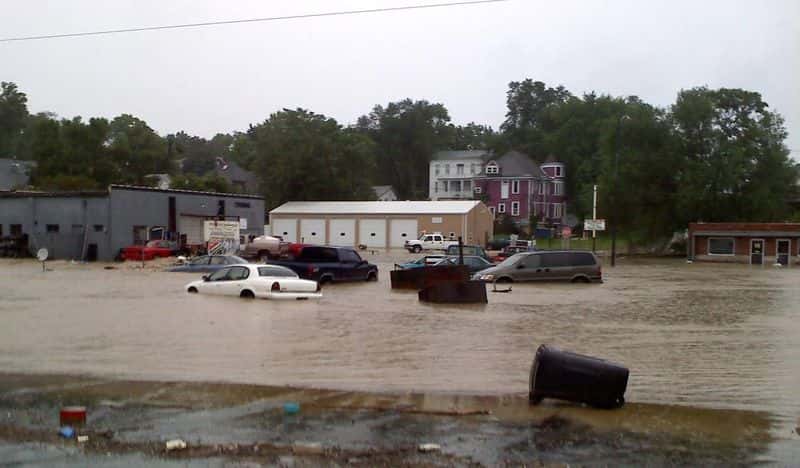 Flooded elks
