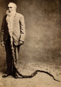 Valentine tapley