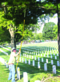 Saluting Branches_Skopec