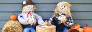 Scarecrows