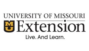 extension-logo-tagline