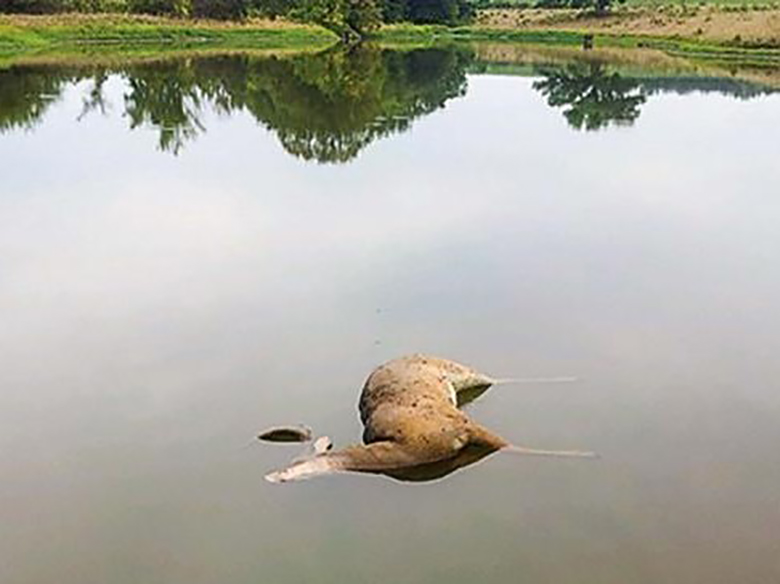 23-hd-pond-nate-mechlin-mdccmyk-0_original