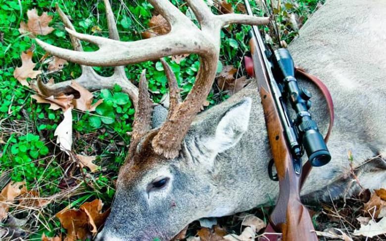 weekend-deer-harvest-1-of-1-1_original