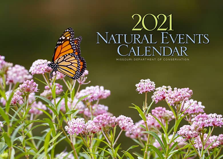 2021-natural-events-calendar-cover_crop