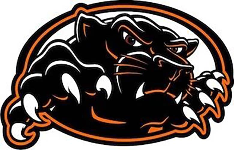 palmyra-panthers