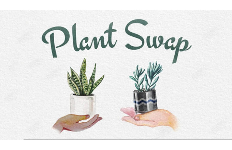 plant-swap