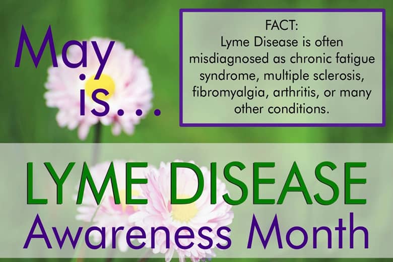 lyme-disease-awareness1