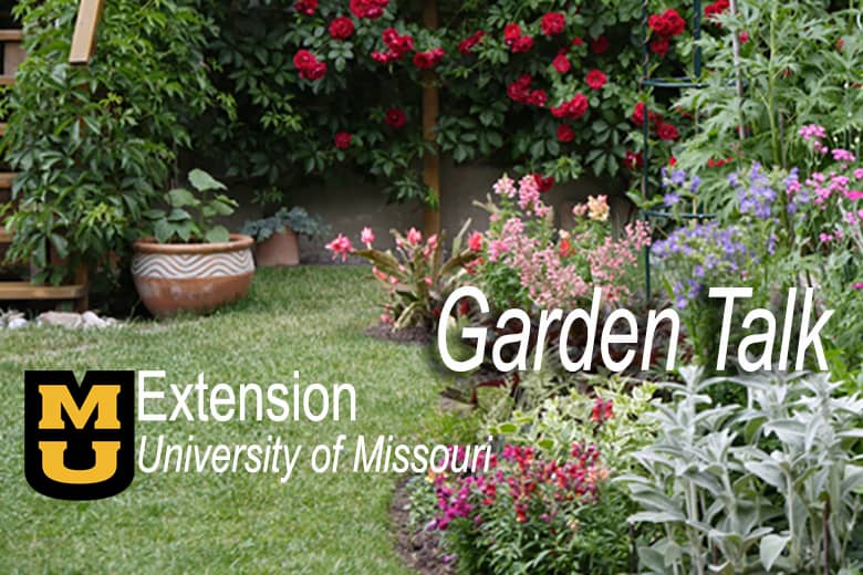 lawn-and-garden