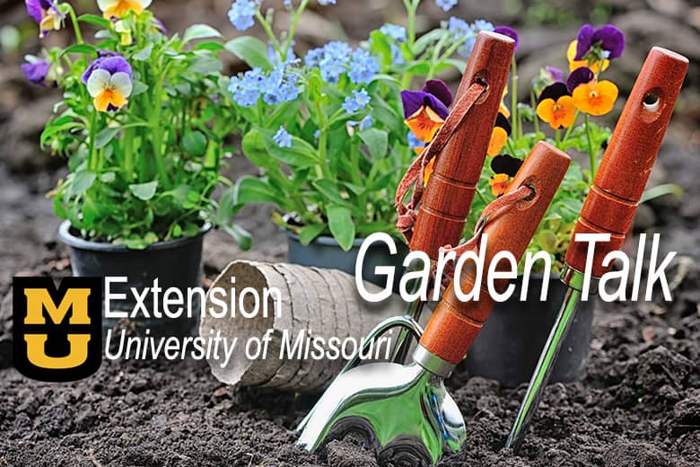 gardening-tips-for-beginners