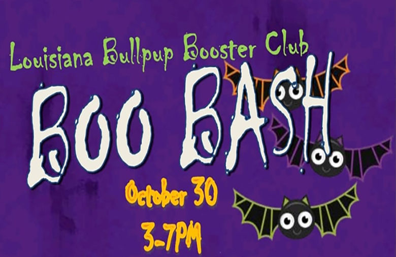 boo-bash-image