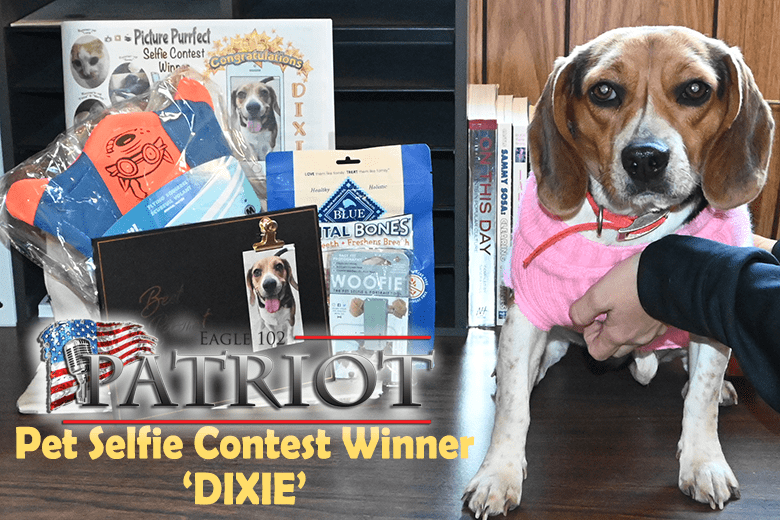 pet-selfie-contest-winner-dixie