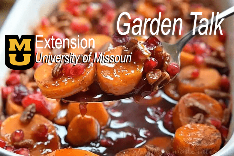 cranberry-sweet-potato-casserole_spoon-full