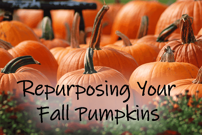 repurpose-pumpkins-copy