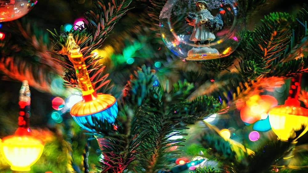 tree-trimming-2