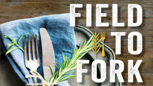 field-to-fork