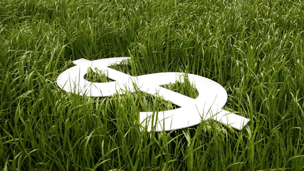 Survey finds Missouri land values increased across the board in 2021