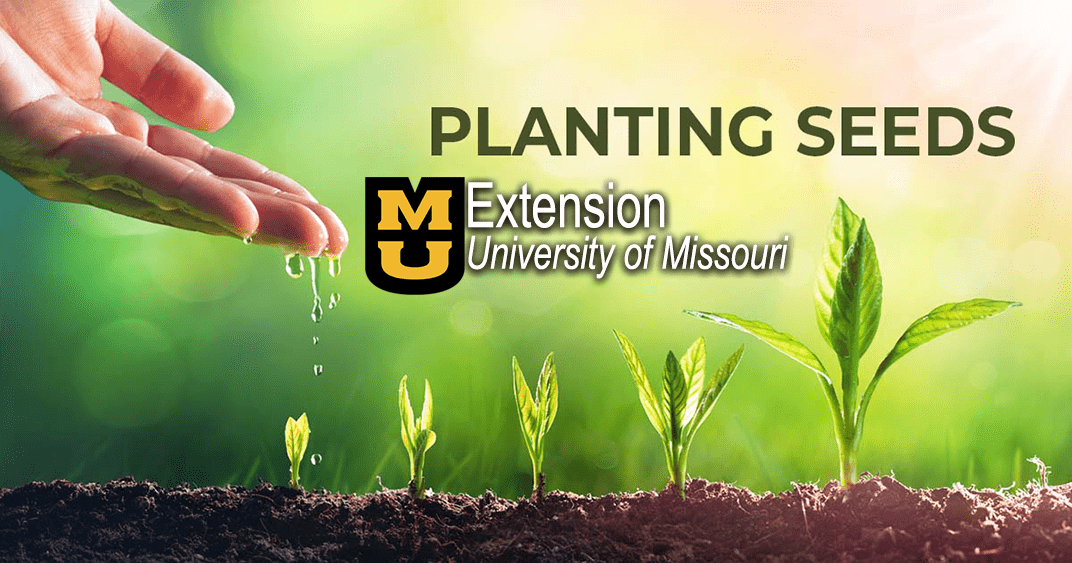 planting-seeds