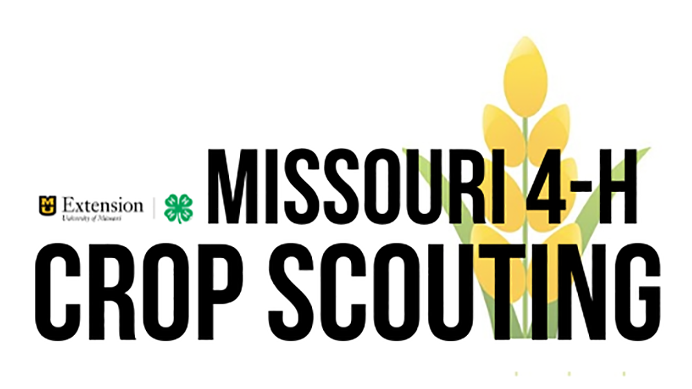 cropscouting