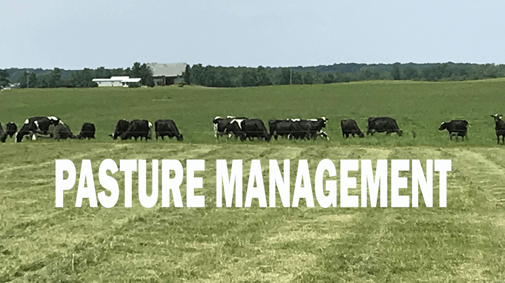pasture-management-copy