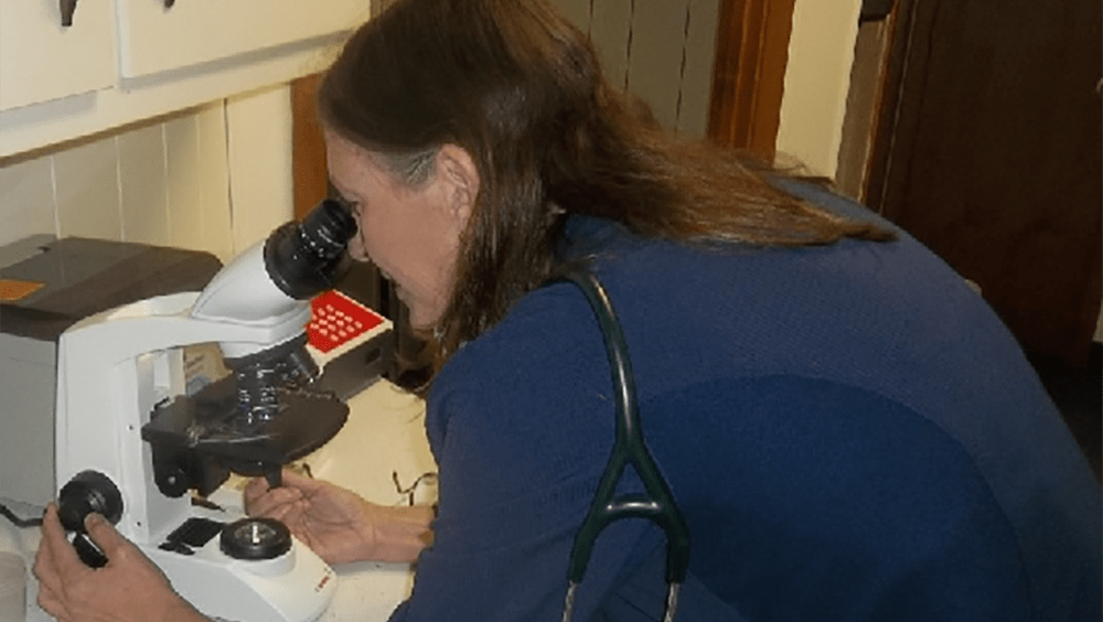 fp-microscope