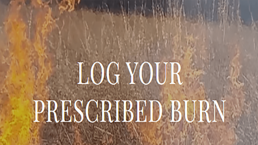 log-your-burn